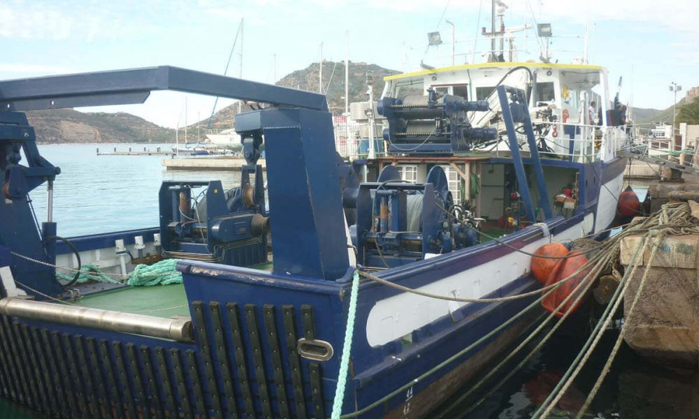 imgi_6_maquinilla-probe-3-1000x600