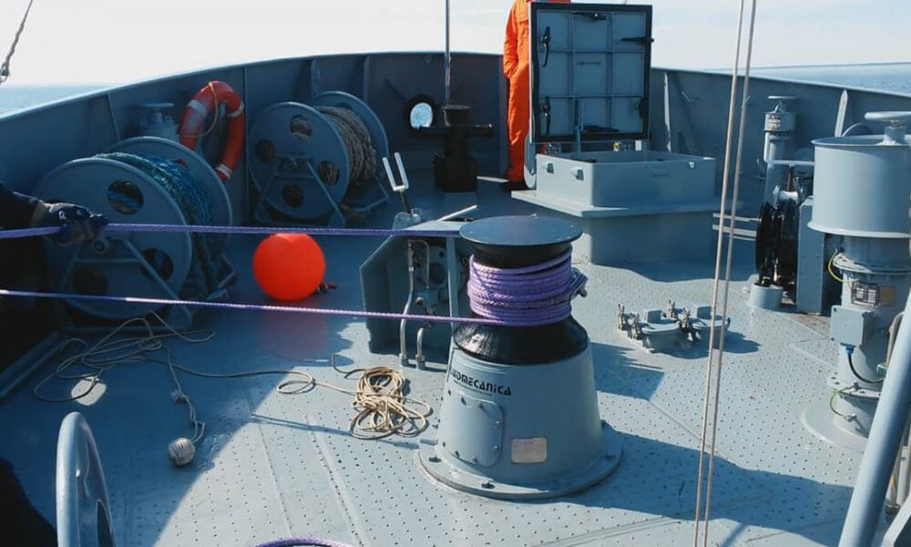 imgi_7_cabestrantes-5-1000x600